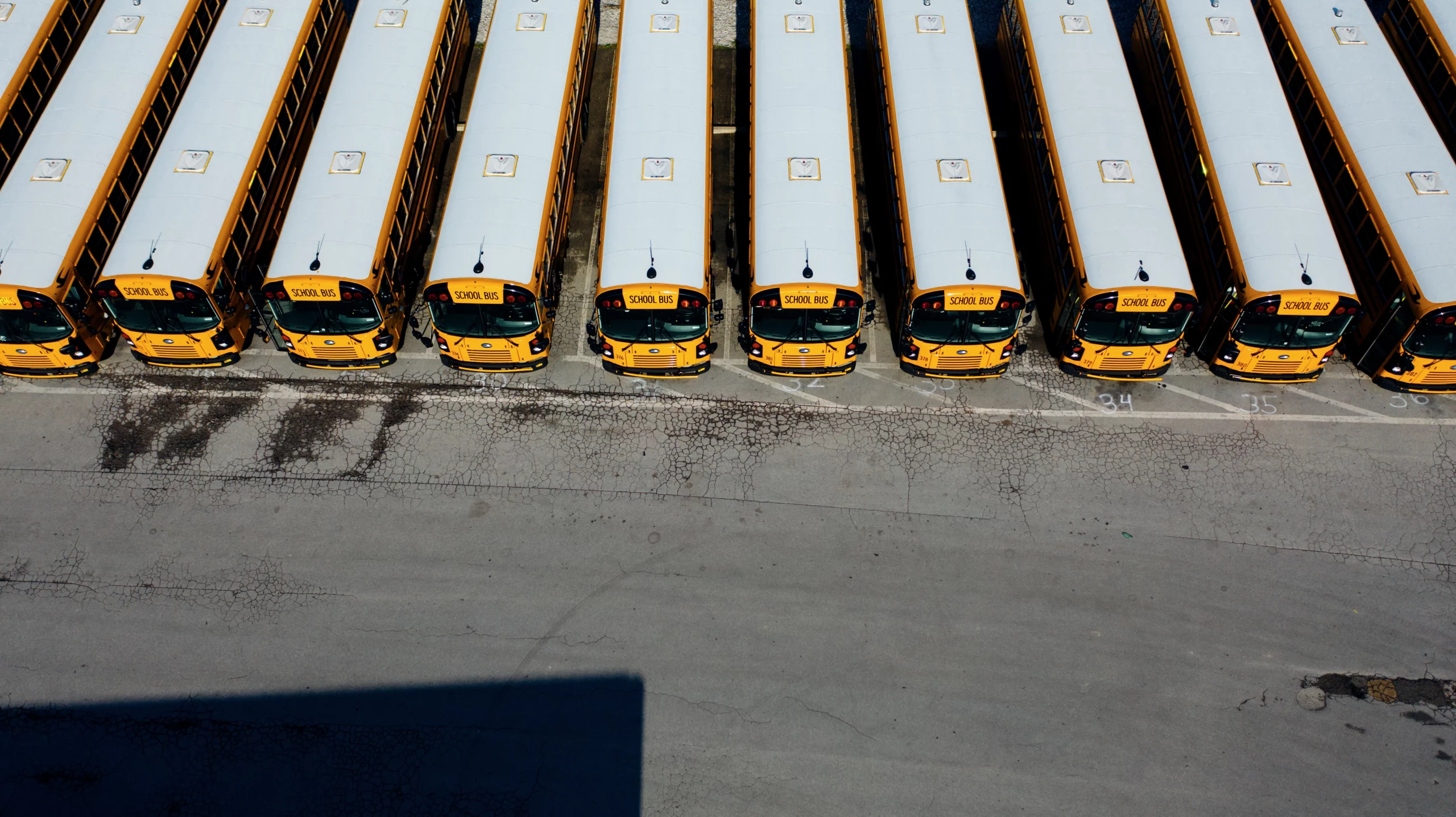 flotta aziendale autobus