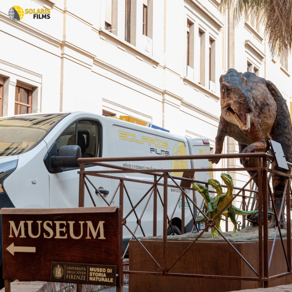 lavoro museo paleontologico 4